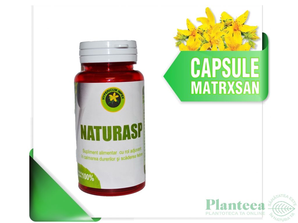 Natura SP 60cps - HYPERICUM PLANT