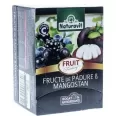Ceai fructe padure mangostan Fantasy 15dz - NATURAVIT