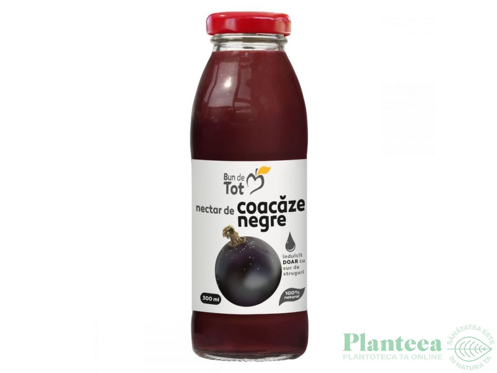 Nectar coacaze negre bio 300ml - DACIA PLANT