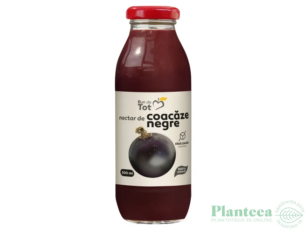 Nectar coacaze negre fara zahar 300ml - BUN DE TOT