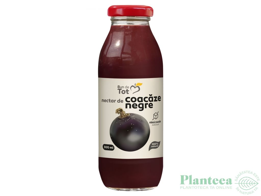 Nectar coacaze negre fara zahar 300ml - BUN DE TOT