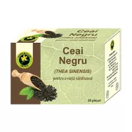 Ceai negru 20dz - HYPERICUM PLANT