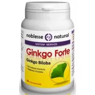 Ginkgo forte 500mg 30cp - NOBLESSE NATURAL
