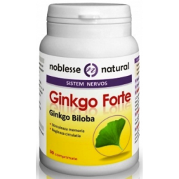 Ginkgo forte 500mg 30cp - NOBLESSE NATURAL