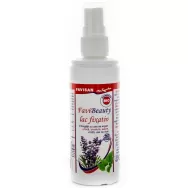 Lac par fixativ 100ml - FAVISAN