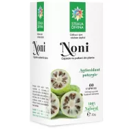 Noni 500mg 60cps - SANTO RAPHAEL