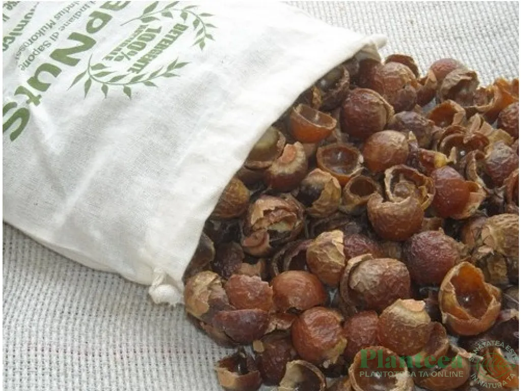 Nuci sapun 250g - ECOERA PLAN