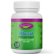 Obecol 120cp - INDIAN HERBAL