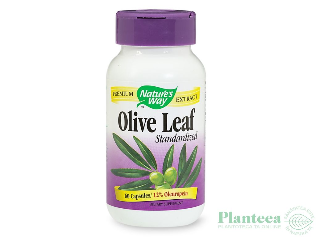 Olive leaf 60cps - NATURES WAY