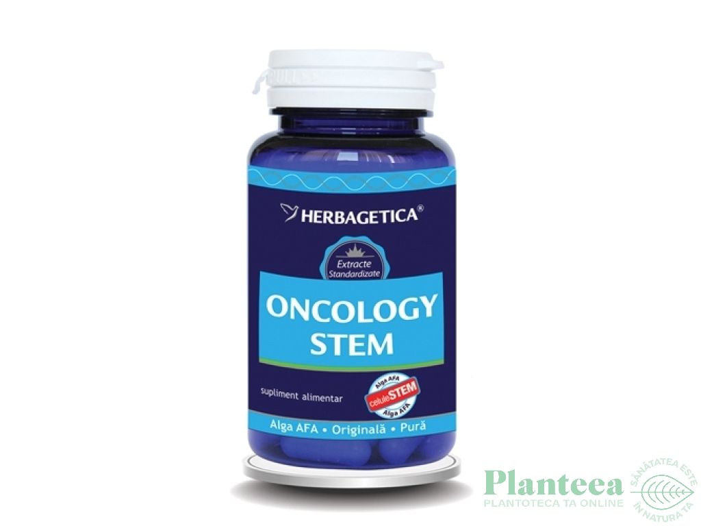 Oncology stem 60cps - HERBAGETICA