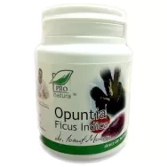 Opuntia ficus indica 60cps - MEDICA