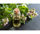 Ulei esential oregano 100% pur 10ml - FARES