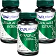 Set Astragalus extract 3x30cps - DVR PHARM