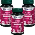 Set Carbo Hepato Biliar 3x60cps - DVR PHARM