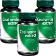 Set Ceai verde extract 3x30cps - DVR PHARM