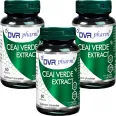 Set Ceai verde extract 3x60cps - DVR PHARM