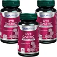 Set DVR Gastric 3x30cps - DVR PHARM