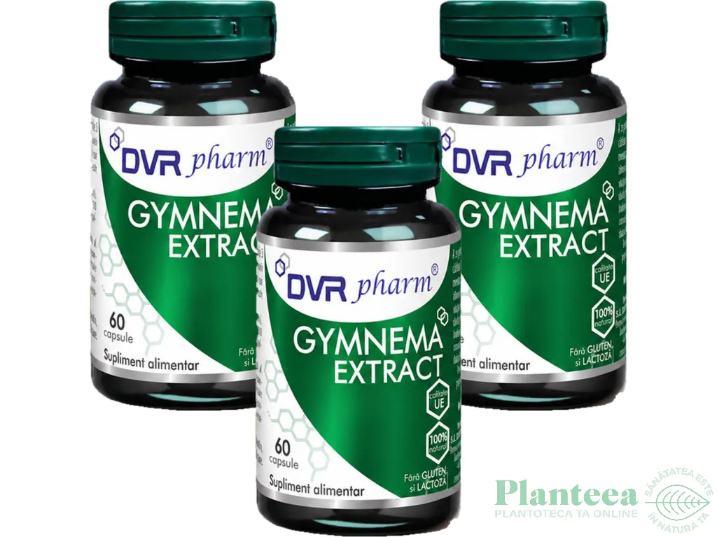 Set Gymnema extract 3x60cps - DVR PHARM