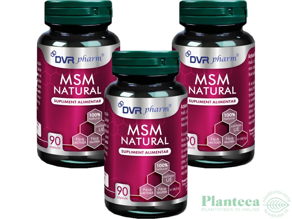 Set MSM natural 3x90cps - DVR PHARM