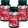Set Par unghii sanatoase 3x60cps - DVR PHARM