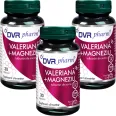 Set Valeriana magneziu 3x30cps - DVR PHARM