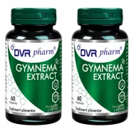Set Gymnema extract 2x60cps - DVR PHARM