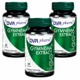 Set Gymnema extract 3x60cps - DVR PHARM