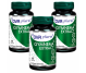 Set Gymnema extract 3x60cps - DVR PHARM