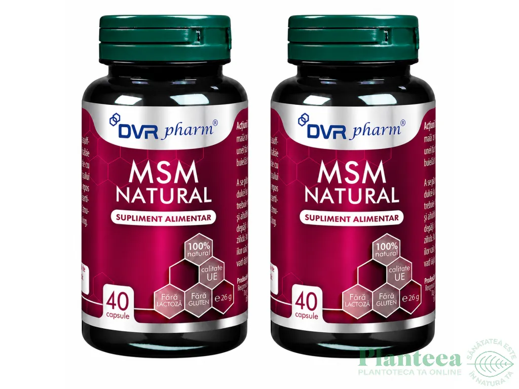 Set MSM natural 2x40cps - DVR PHARM