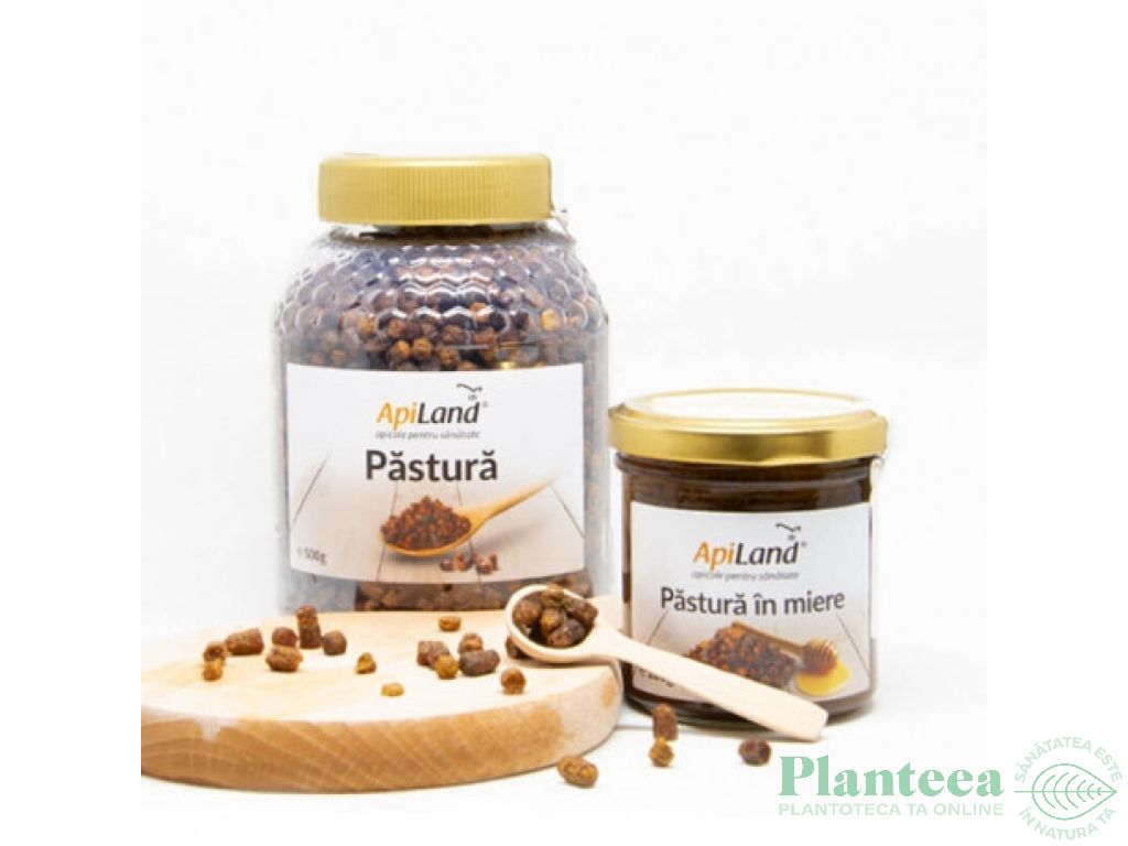 Pastura in miere eco 500g - APILAND