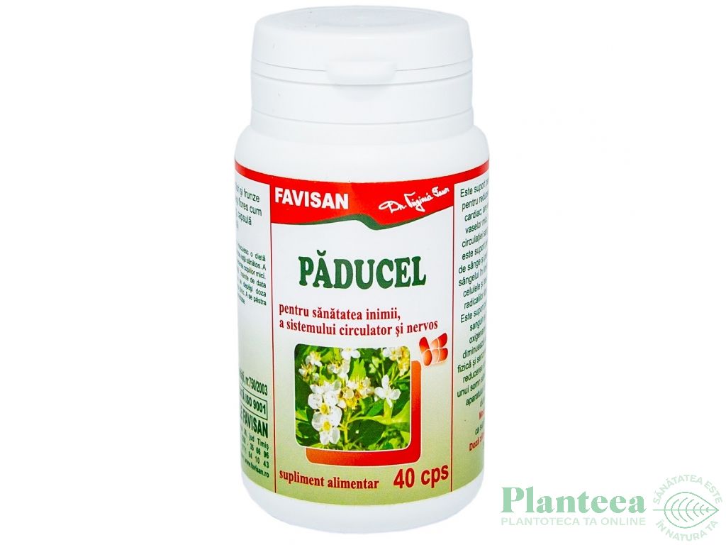Paducel 40cps - FAVISAN