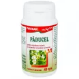 Paducel 40cps - FAVISAN