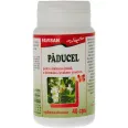 Paducel 300mg 40cps - FAVISAN