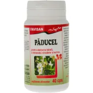 Paducel 300mg 40cps - FAVISAN