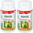 Pachet Paducel 300mg 2x40cps - FAVISAN