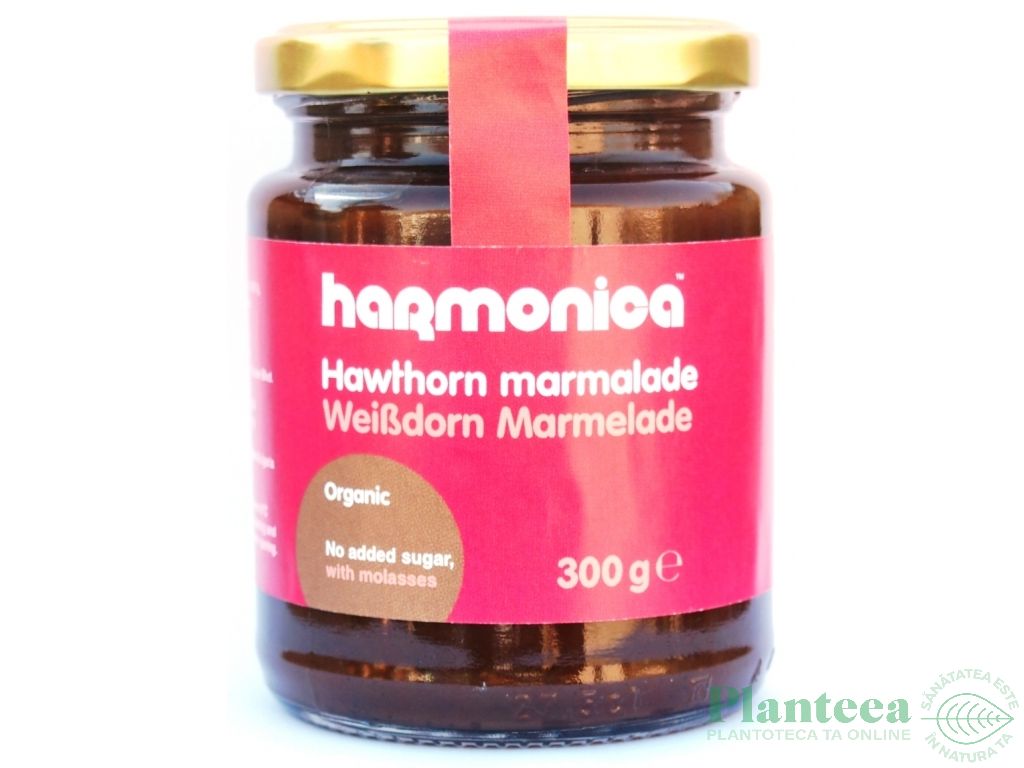 Marmelada paducel fructe eco 300g - HARMONICA