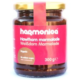 Marmelada paducel fructe eco 300g - HARMONICA
