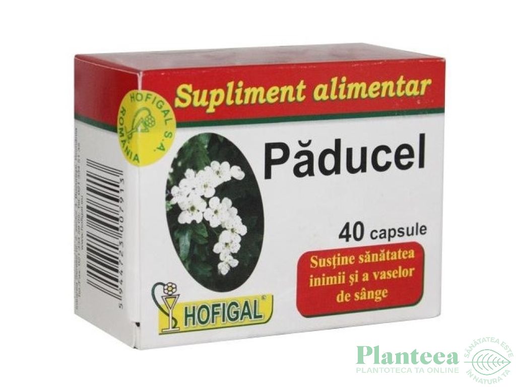 Paducel 40cps - HOFIGAL