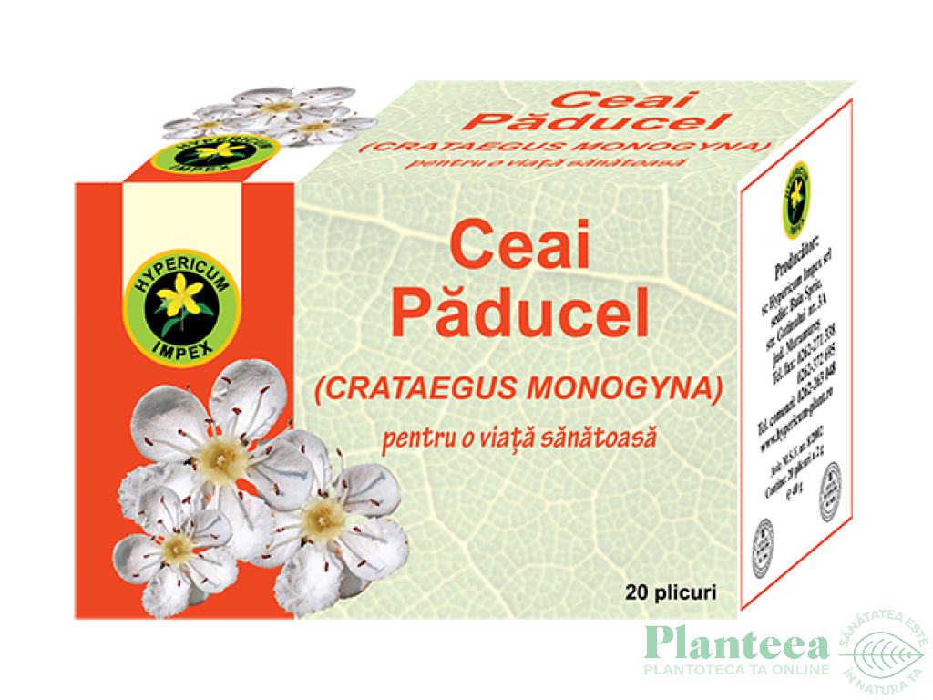 Ceai paducel flori frunze 20dz - HYPERICUM PLANT