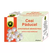 Ceai paducel flori frunze 20dz - HYPERICUM PLANT