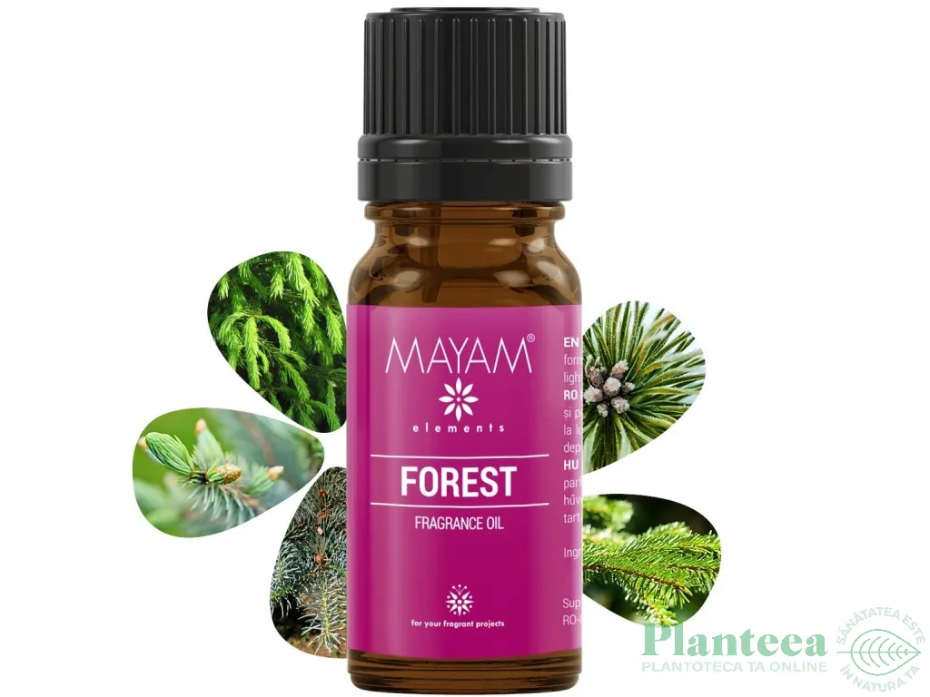 Parfumant forest 10ml - ELLEMENTAL
