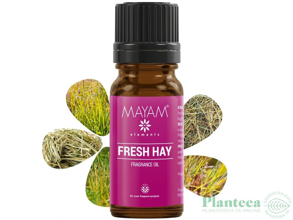 Parfumant fresh hay 10ml - MAYAM