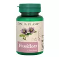 Passiflora 60cp - DACIA PLANT