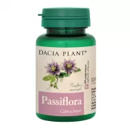 Passiflora 60cp - DACIA PLANT