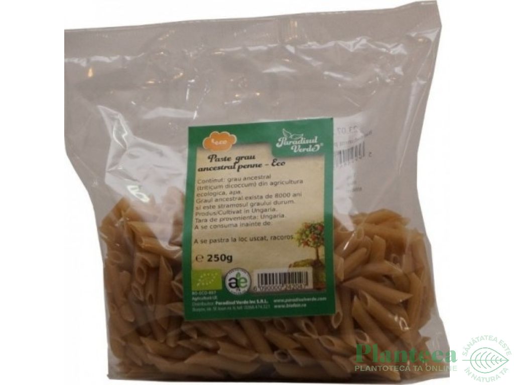 Paste penne grau ancestral eco 250g - PARADISUL VERDE