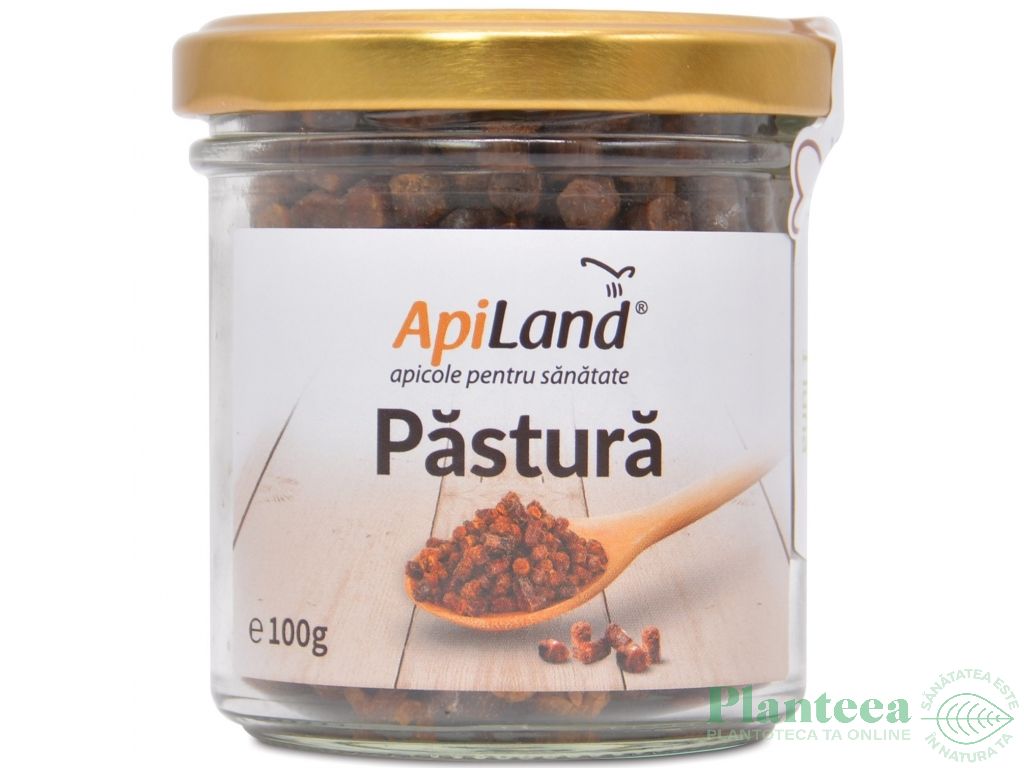 Pastura granule conventional 100g - APILAND