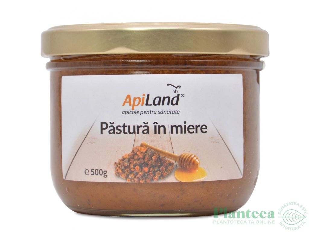 Pastura in miere 500g - APILAND