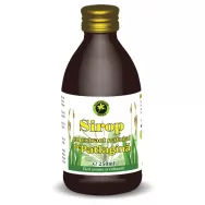 Sirop patlagina cu zahar invertit 250ml - HYPERICUM PLANT