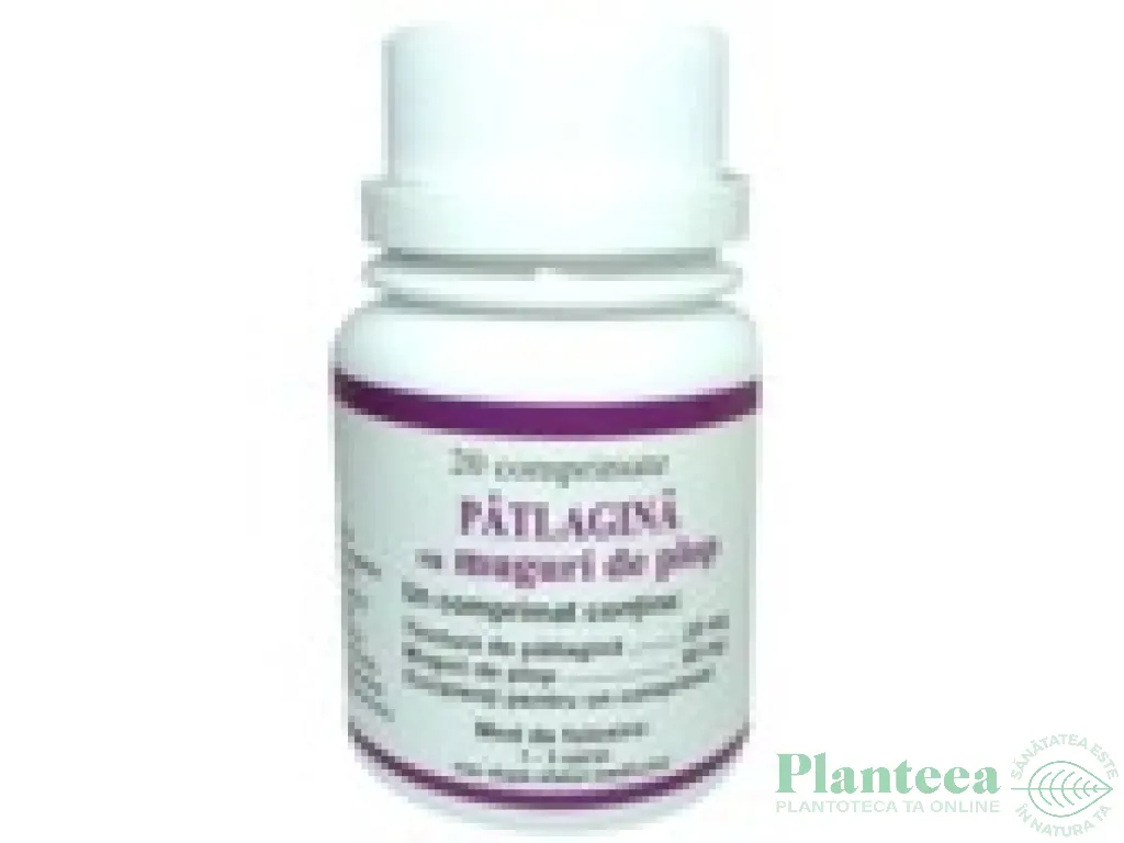Patlagina plop 20cp - ELIDOR