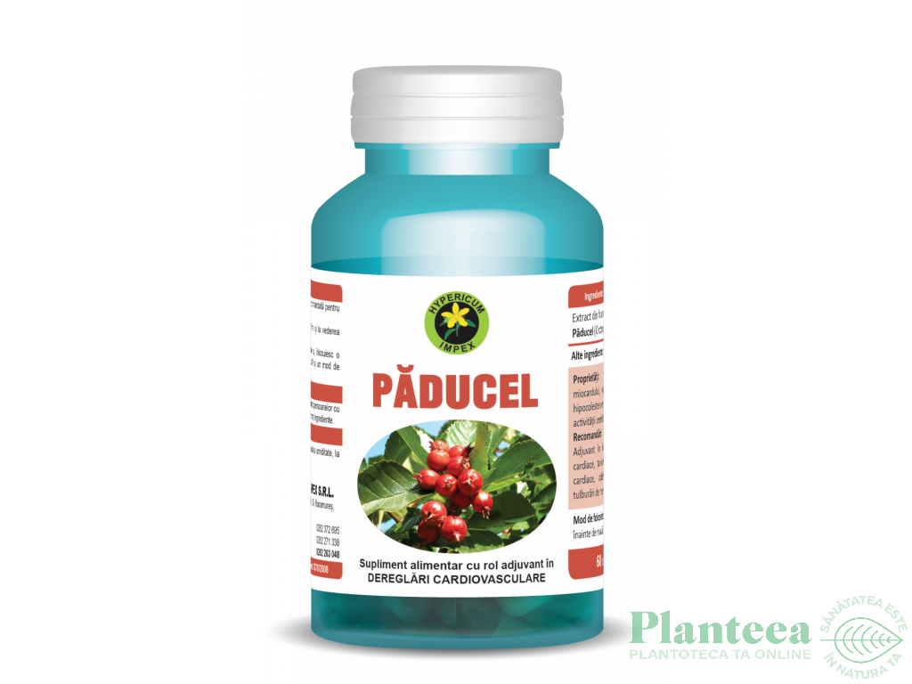 Paducel 60cps - HYPERICUM PLANT